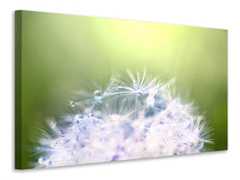 5-piece-canvas-print-dandelion-xl-in-morning-dew