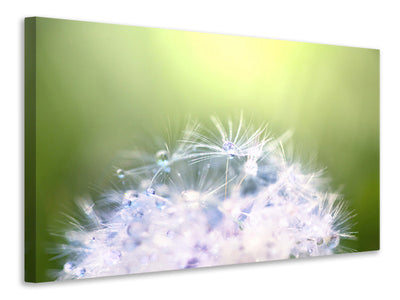 4-piece-canvas-print-dandelion-xl-in-morning-dew
