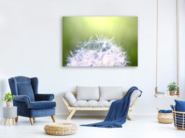 5-piece-canvas-print-dandelion-xl-in-morning-dew
