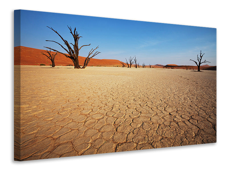 modern-4-piece-canvas-print-desert