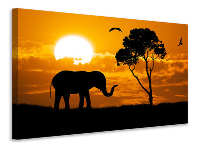 5-piece-canvas-print-dreamy-africa