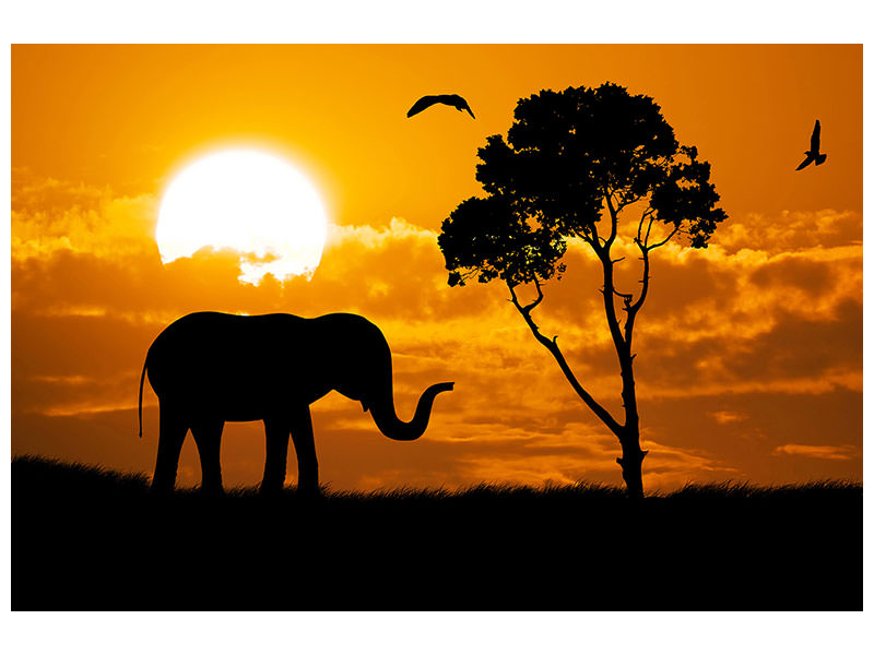 modern-3-piece-canvas-print-dreamy-africa