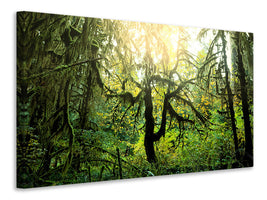 panoramic-3-piece-canvas-print-dreamy-forest