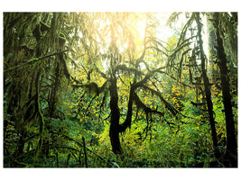 modern-4-piece-canvas-print-dreamy-forest