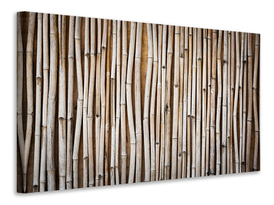 panoramic-canvas-print-dried-bamboos