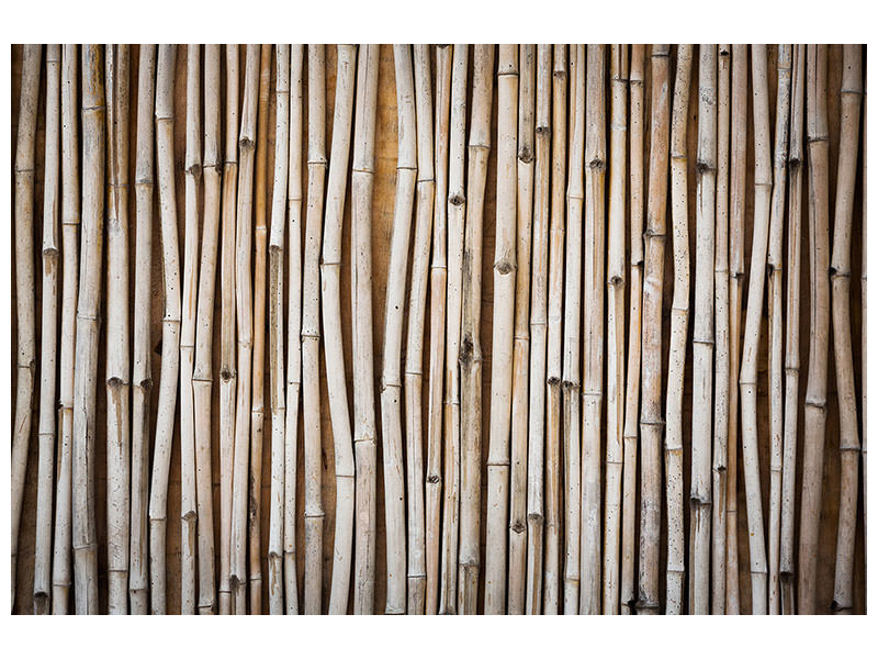 3-piece-canvas-print-dried-bamboos