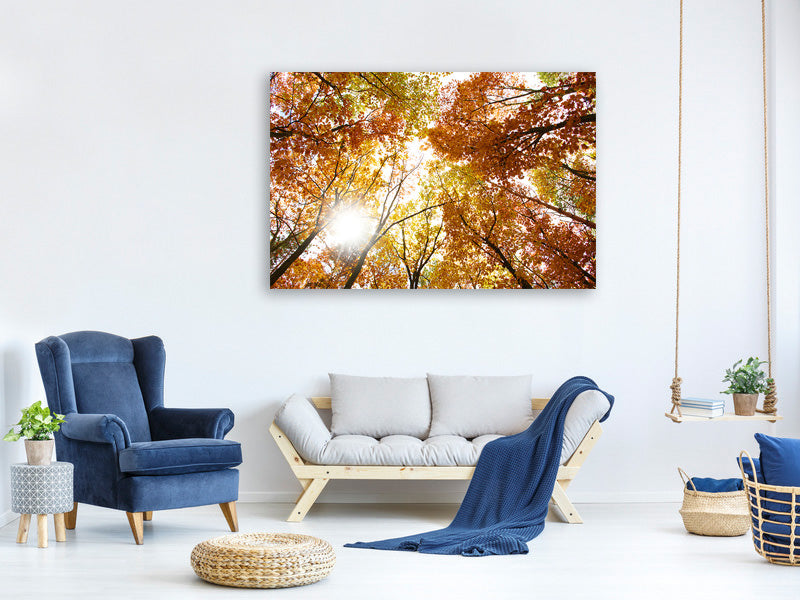 5-piece-canvas-print-enlightened-autumn-trees