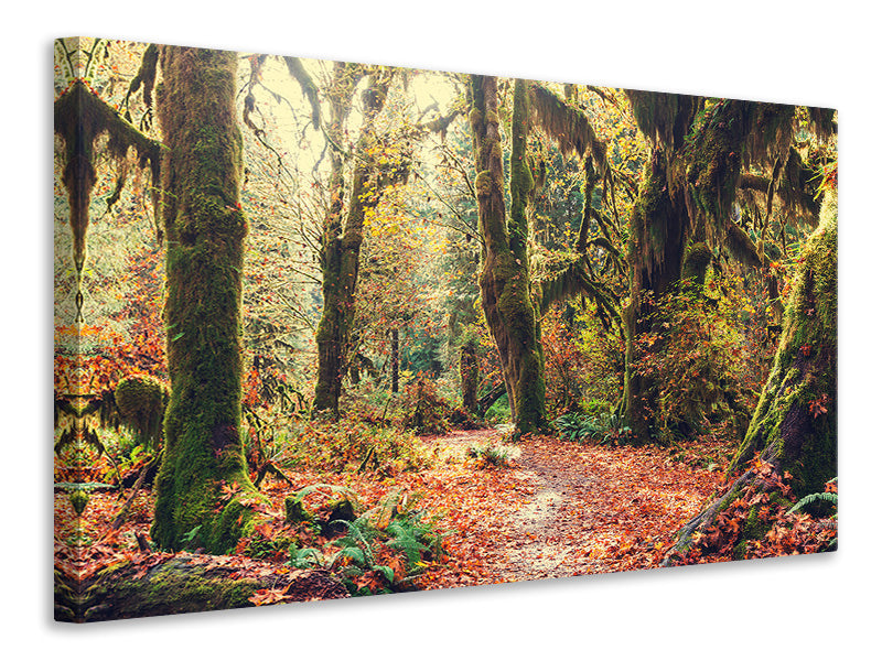 5-piece-canvas-print-fairies-forest