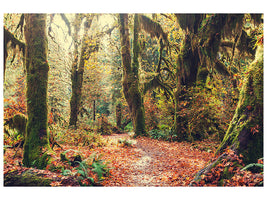 5-piece-canvas-print-fairies-forest