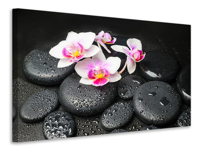 5-piece-canvas-print-feng-shui-orchid-zen