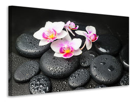 modern-4-piece-canvas-print-feng-shui-orchid-zen