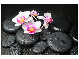 5-piece-canvas-print-feng-shui-orchid-zen