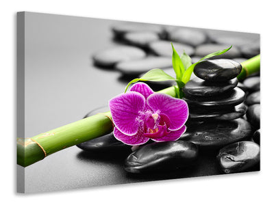 3-piece-canvas-print-feng-shui-orchid