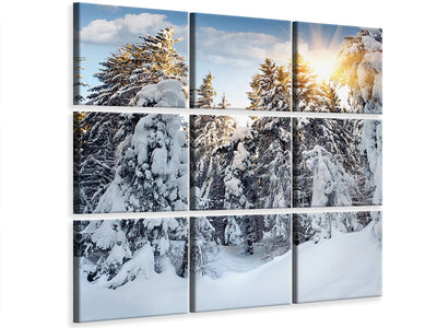 canvas-print-fir-in-snow