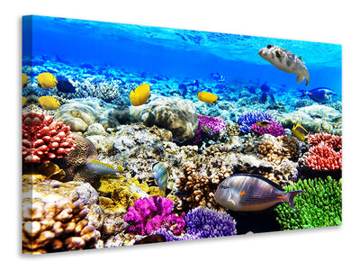 3-piece-canvas-print-fish-aquarium