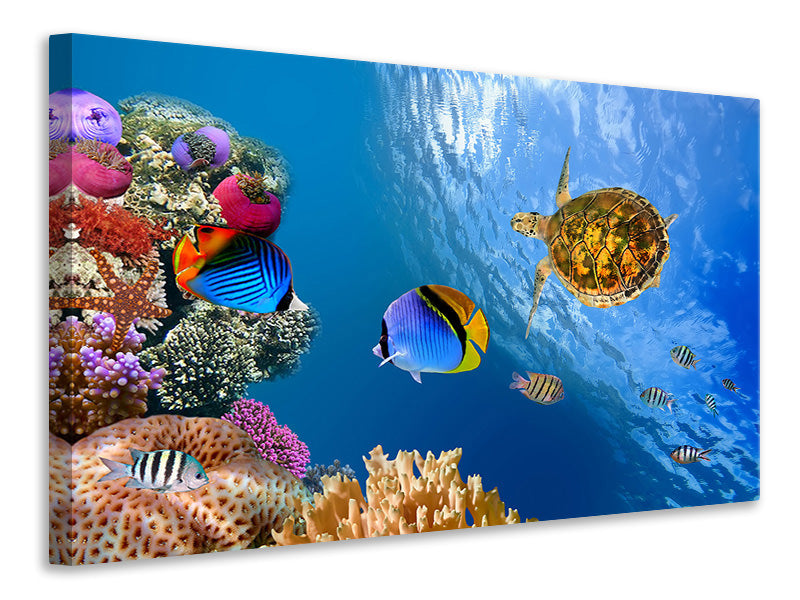 4-piece-canvas-print-fish-in-the-water