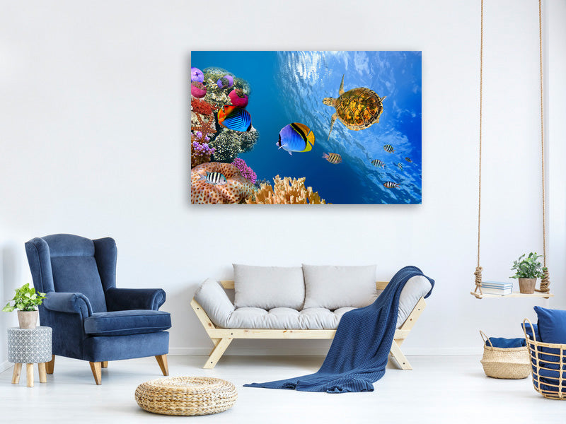 5-piece-canvas-print-fish-in-the-water