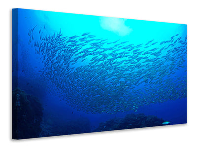 modern-4-piece-canvas-print-fish-world