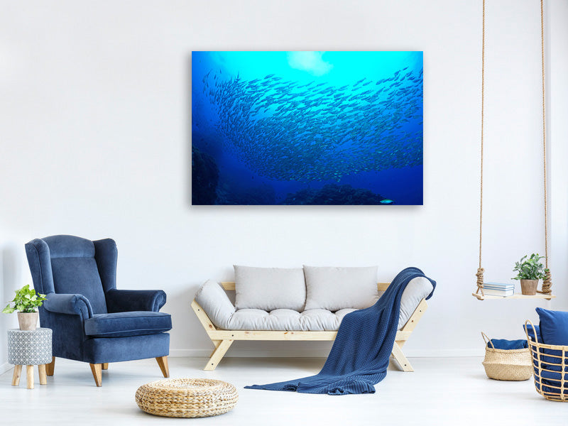 5-piece-canvas-print-fish-world