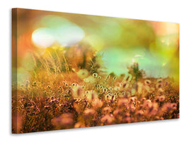 panoramic-3-piece-canvas-print-flower-meadow-at-twilight