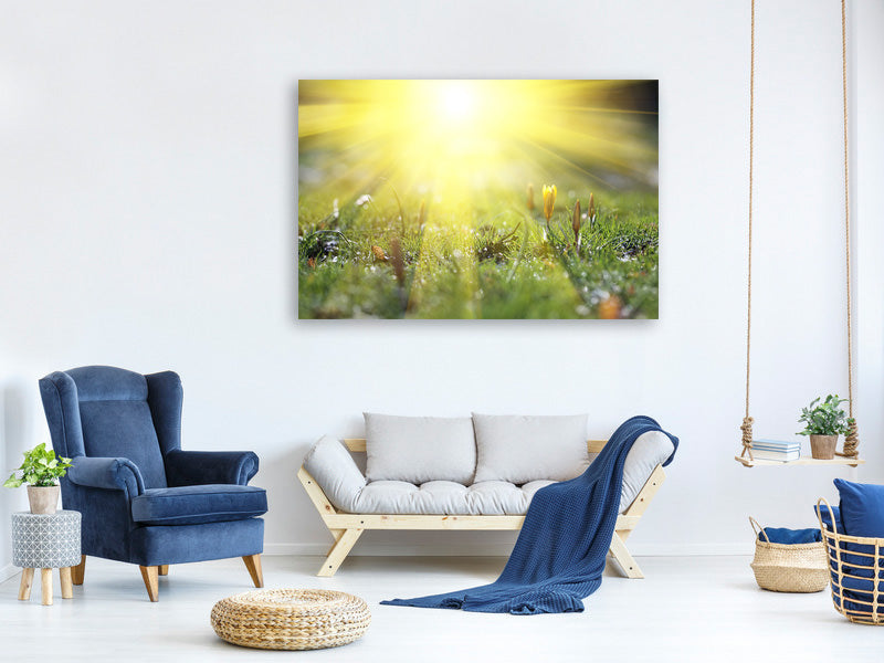 panoramic-3-piece-canvas-print-flowery-meadow