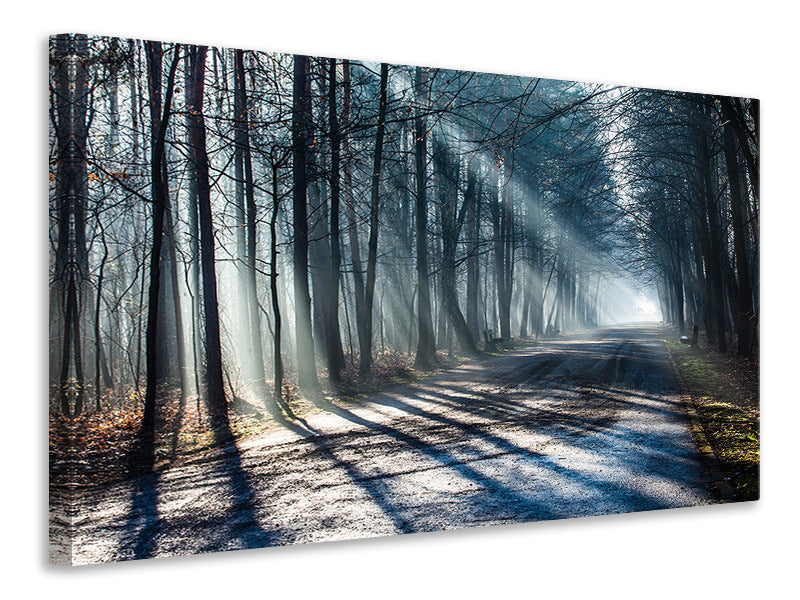 panoramic-canvas-print-forest-in-the-light-beam