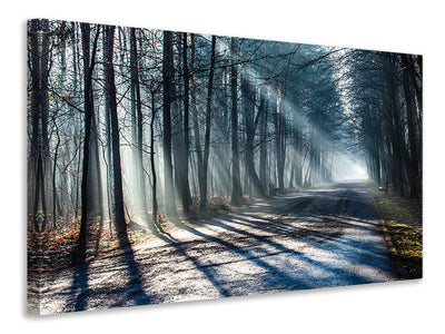 3-piece-canvas-print-forest-in-the-light-beam