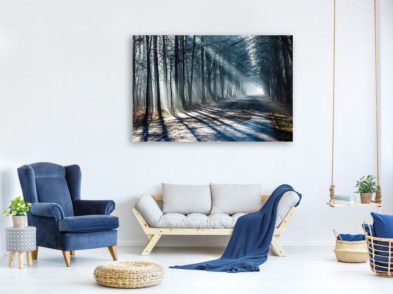 panoramic-canvas-print-forest-in-the-light-beam