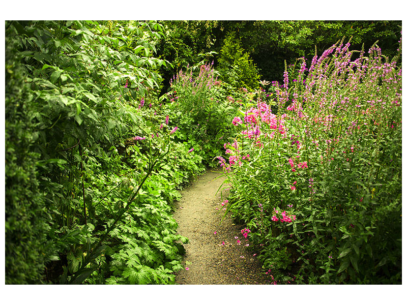 5-piece-canvas-print-garden-path