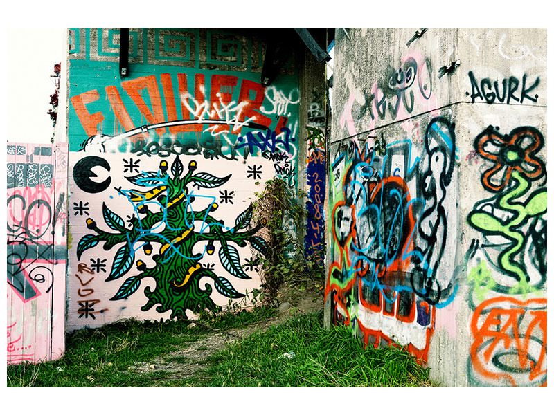 4-piece-canvas-print-graffiti-in-the-backyard