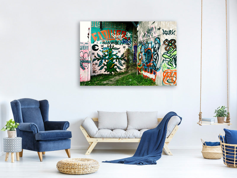 panoramic-canvas-print-graffiti-in-the-backyard