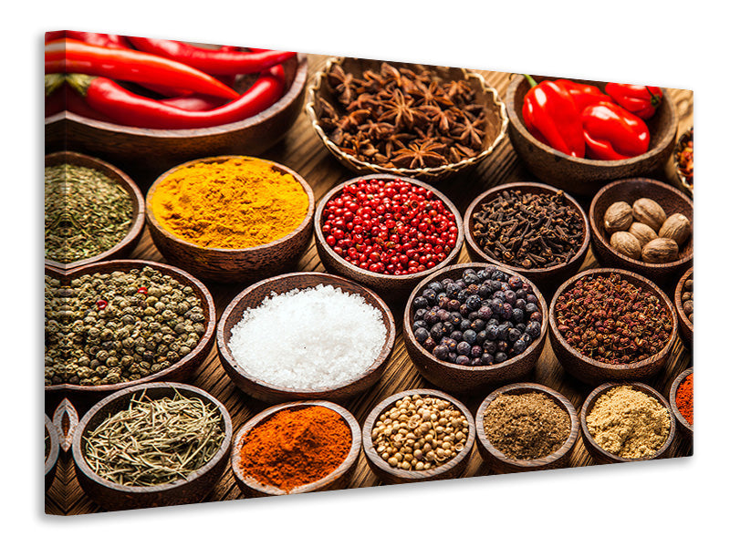 modern-4-piece-canvas-print-hot-spices