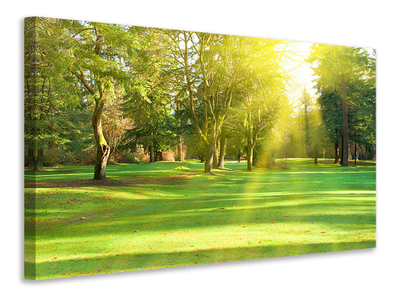 3-piece-canvas-print-in-the-park