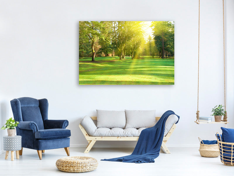 3-piece-canvas-print-in-the-park