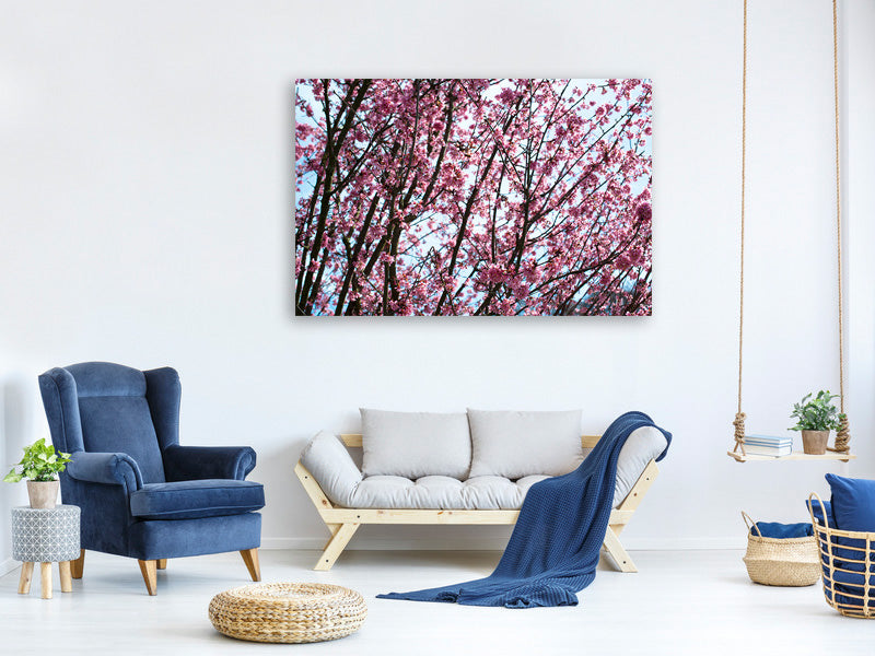 panoramic-3-piece-canvas-print-japanese-cherry-blossom