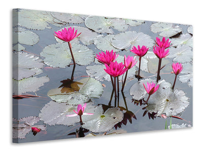 modern-4-piece-canvas-print-jump-in-the-lily-pond