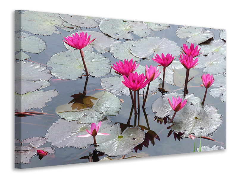 3-piece-canvas-print-jump-in-the-lily-pond