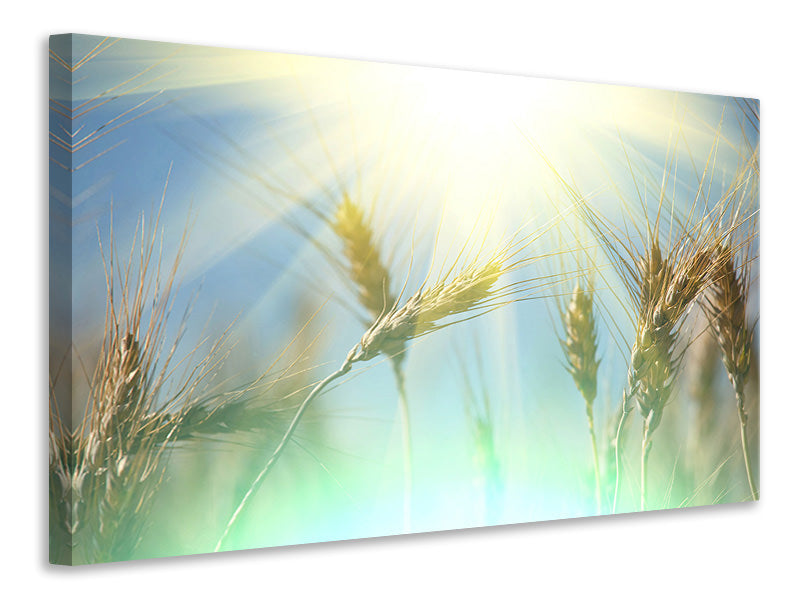 4-piece-canvas-print-king-of-cereals
