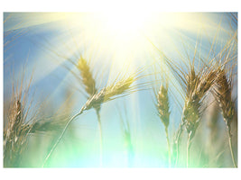 5-piece-canvas-print-king-of-cereals