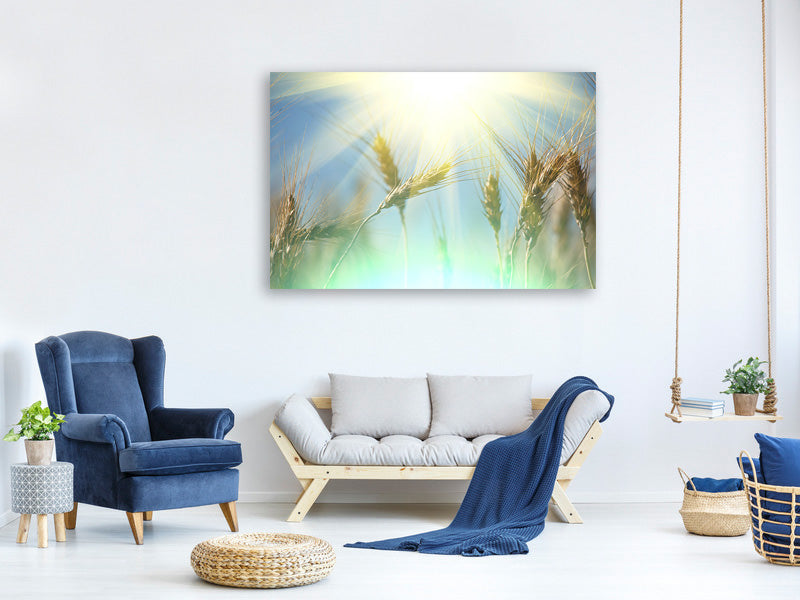panoramic-canvas-print-king-of-cereals