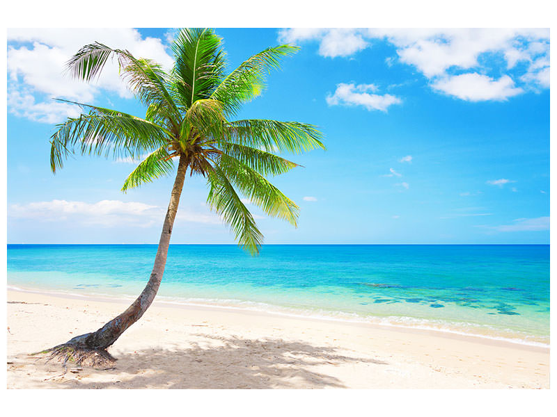 3-piece-canvas-print-koh-lanta