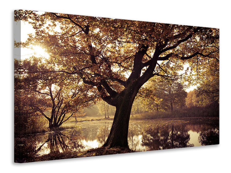 5-piece-canvas-print-landscape-park