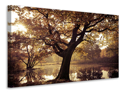 modern-4-piece-canvas-print-landscape-park