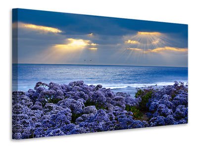 5-piece-canvas-print-lavender-and-sea