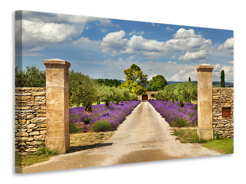 4-piece-canvas-print-lavender-garden