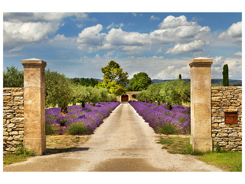5-piece-canvas-print-lavender-garden