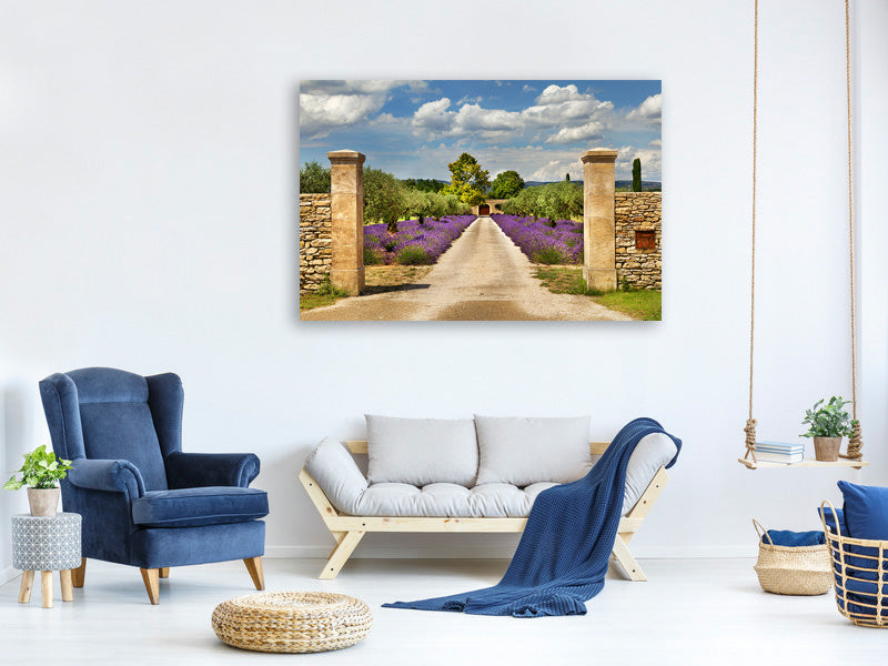 modern-4-piece-canvas-print-lavender-garden