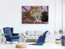 3-piece-canvas-print-leopard
