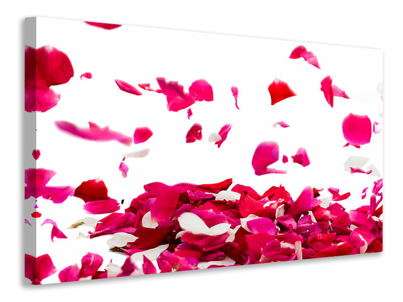 5-piece-canvas-print-let-it-rain-red-roses-for-me