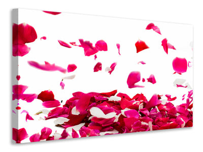5-piece-canvas-print-let-it-rain-red-roses-for-me